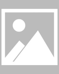 【早报】“布丁”四度连线，哈兰德五子登科