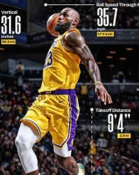 星空体育首页-41岁詹姆斯垂直弹跳达80.1厘米，远超常人水平|体育赛事讨论|洛杉矶湖人队|nba|湖人_新浪体育_新浪新闻