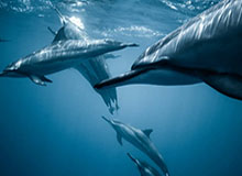 星空体育APP-华体会最新官网——全新体验，引领体育娱乐新时代